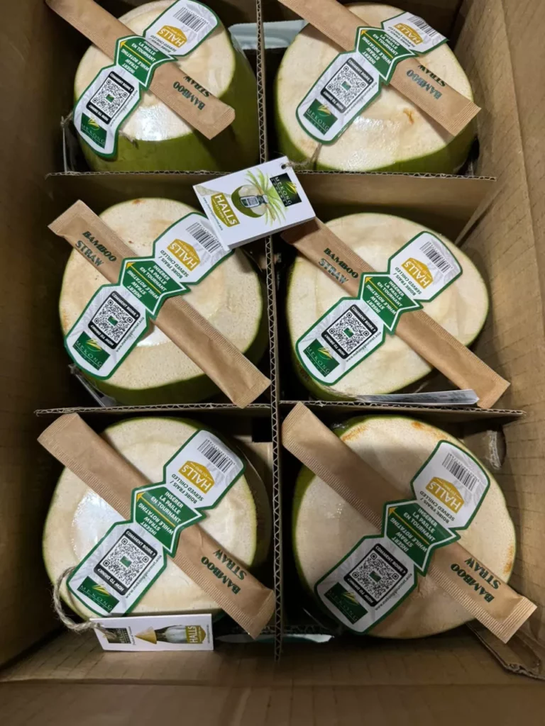 Coconut France