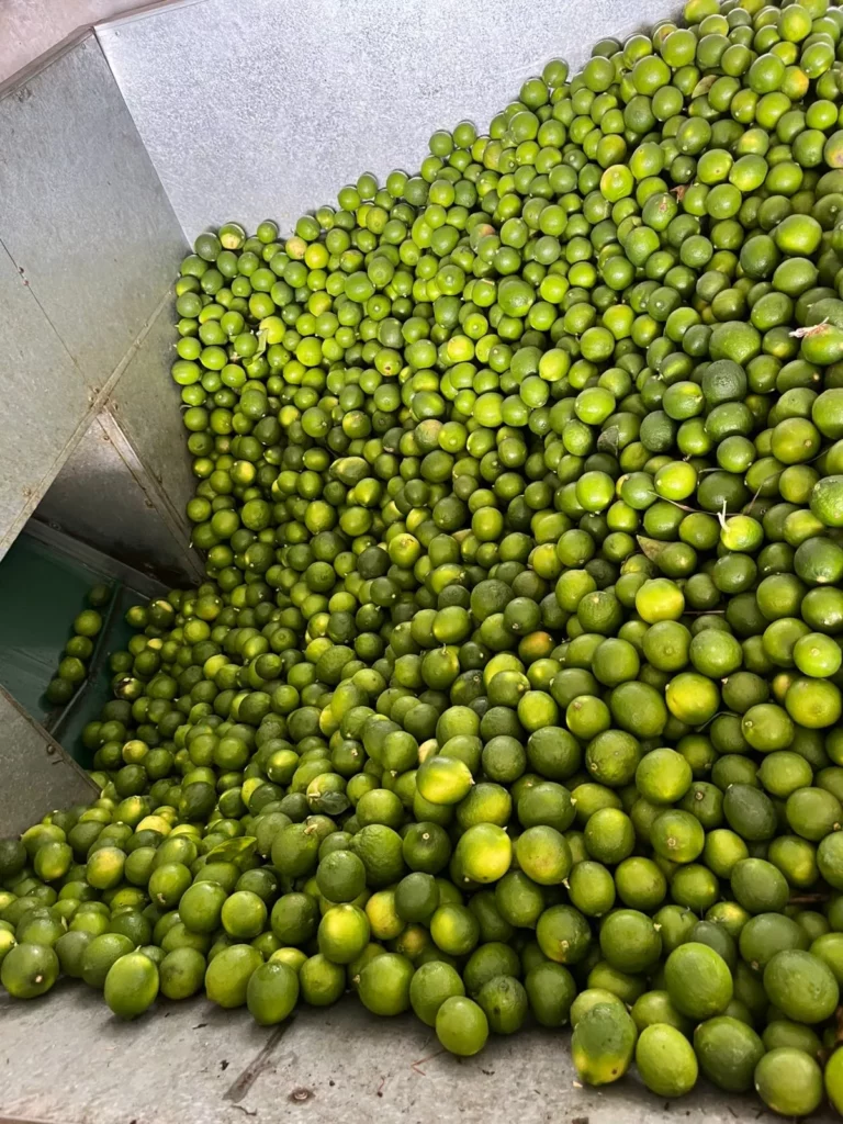 L1-Raw material of lime