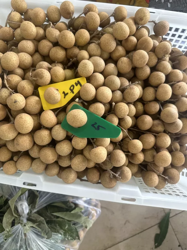 L3