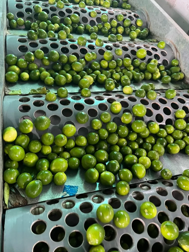 L3-Sorting Quality