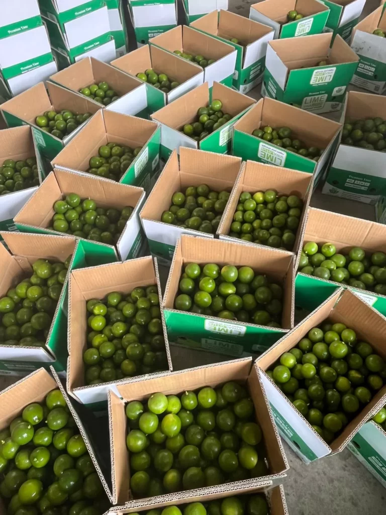 L4-Packing per box
