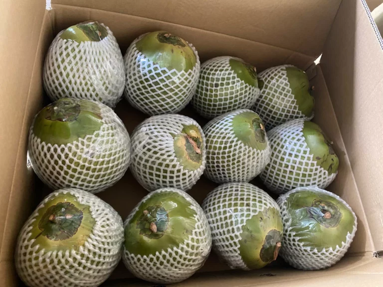 Packing co 4