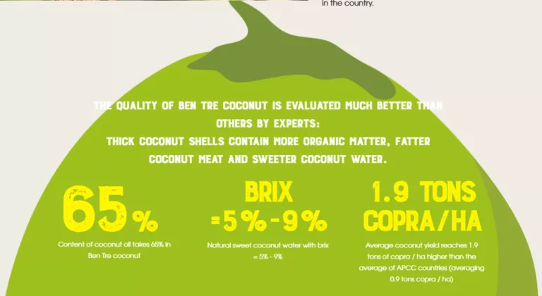 Plant Area Coconut I1